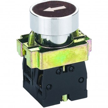 NP2-BA2351 с маркировкой, 1HO IP40 Кнопка управления CHINT Черный/Белый AC/DC