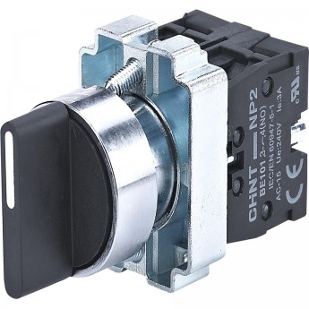 NP2-BD55, 3 положения возвратом, 1НО+1НЗ, IP40 (R) Переключатель CHINT Черный AC/DC