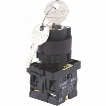 NP2-EG41, 2 положения с возвратом, 1НО IP40 Переключатель CHINT Черный AC/DC
